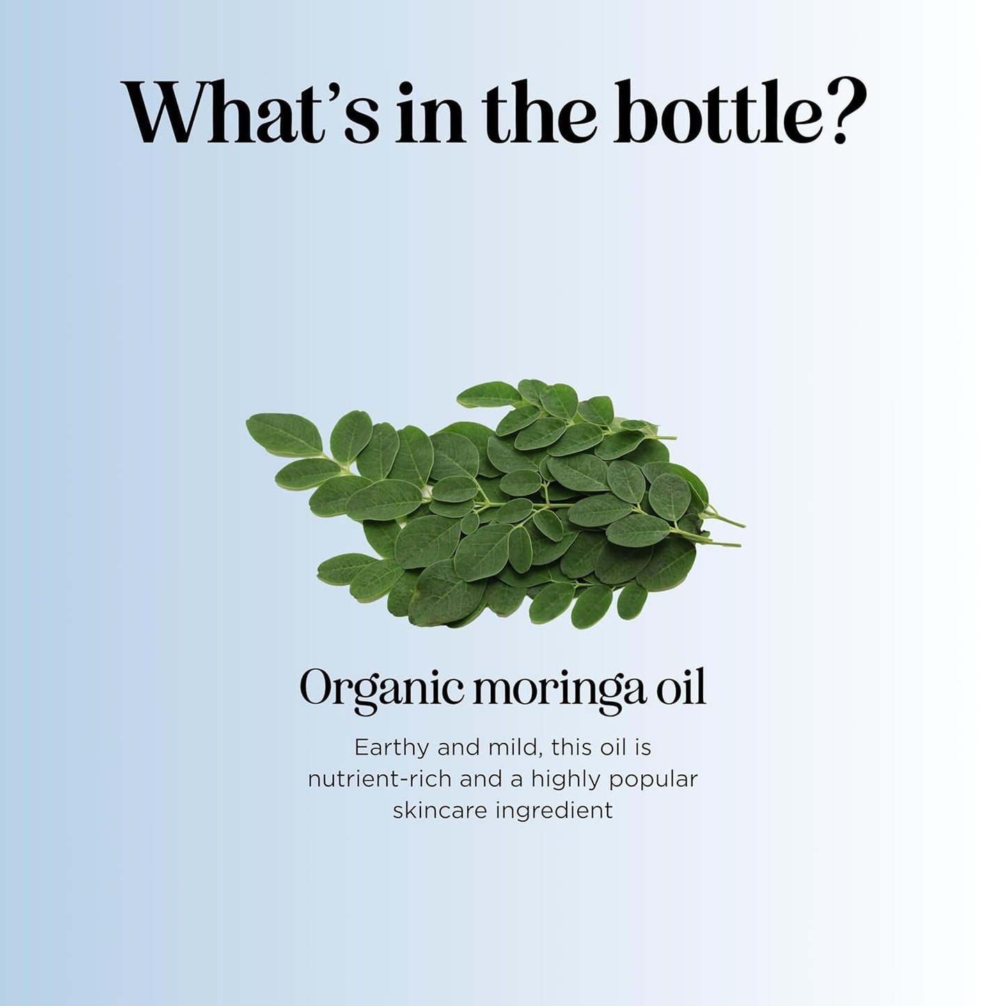 Organic Moringa Oil for Hair and Skin - Cold Pressed Virgin Unrefined Natural Pure USDA Organic Hair Oil for Dry Damaged Hair and Ultra Hydrating Face Oil - Carrier Oil for Essential Oils (2 Pack)