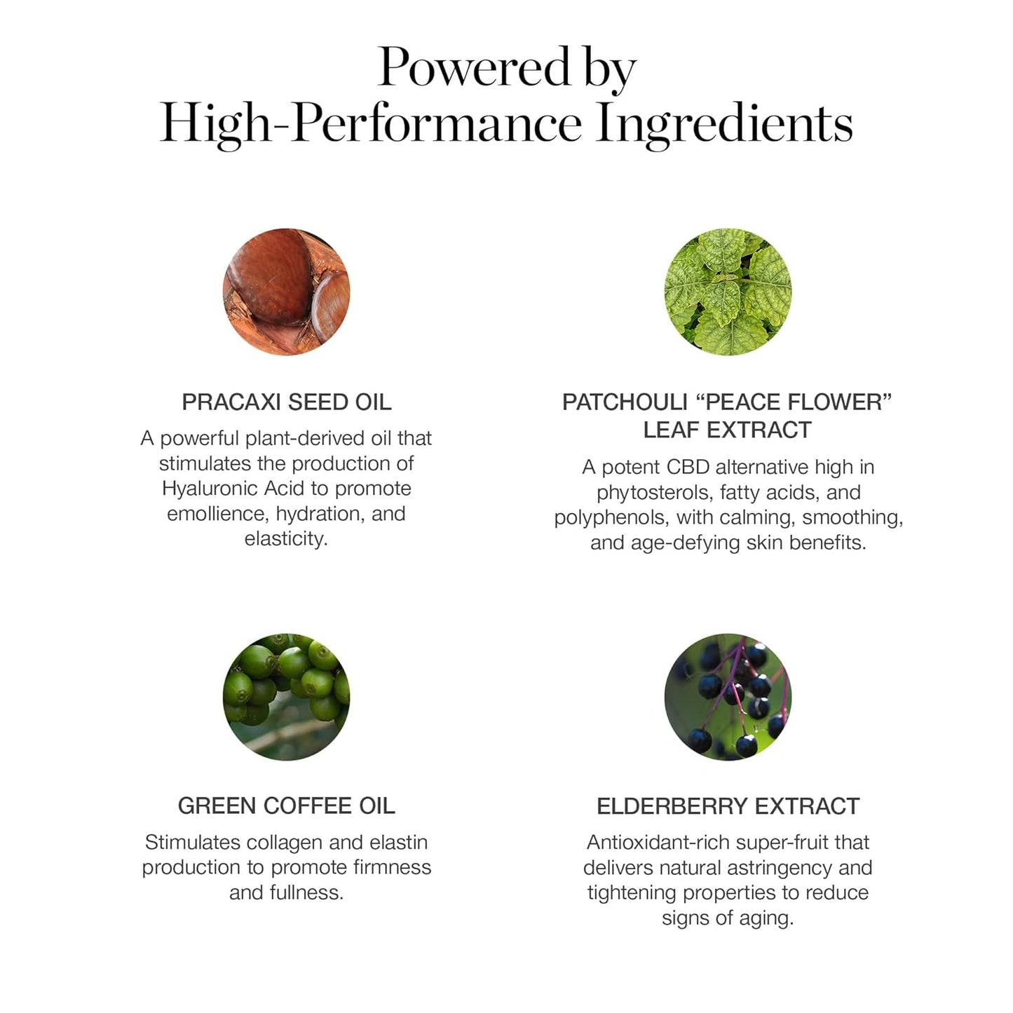 Ogee Sculpted Complexion Foundation Stick (Birch 0.25N - Fair, Neutral Undertones) Full Coverage Foundation Makeup - Instantly Balance & Even Complexion - 70% Organic Ingredients