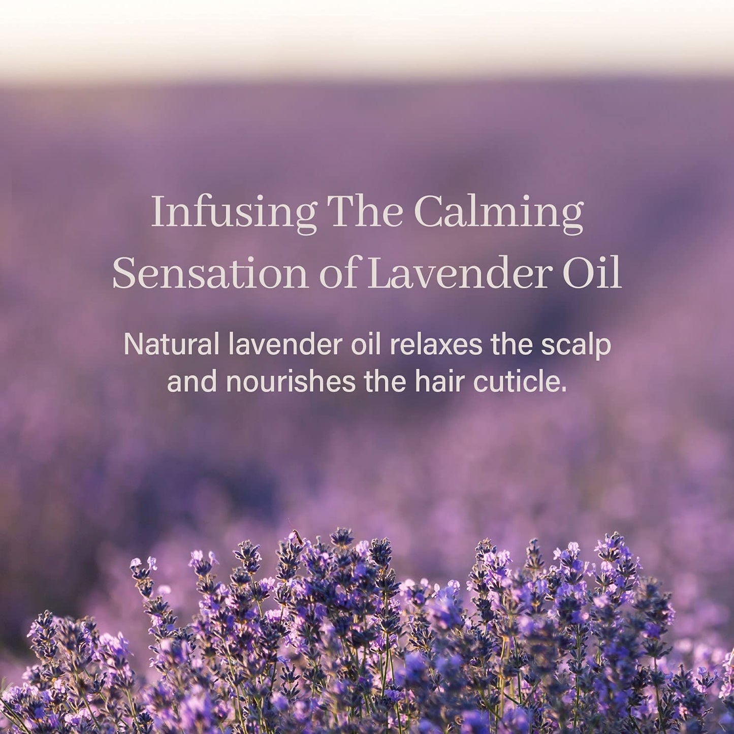 Bora Bora Dream Shampoo Bar - Volumizing, Color Protecting for Curly and All Hair Types - Vegan, pH Balanced, Sulfate-Free, Eco-Friendly