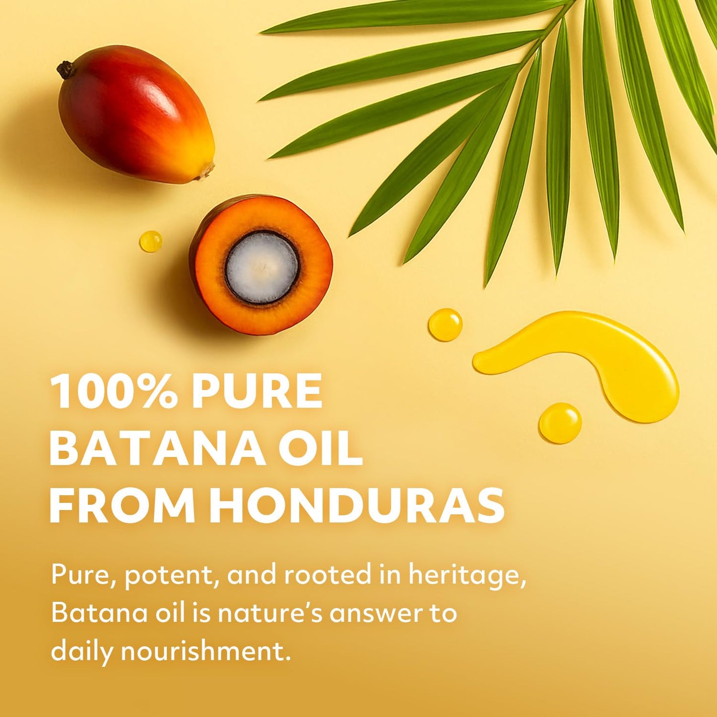 AAA (African Anti-Aging) 100% Natural Honduras Batana Oil – Supports Hair Growth, Repairs Damaged Hair, Moisturizes Dry Scalp & Skin – Made in USA 1.7 fl oz – For All Hair&Skin Types