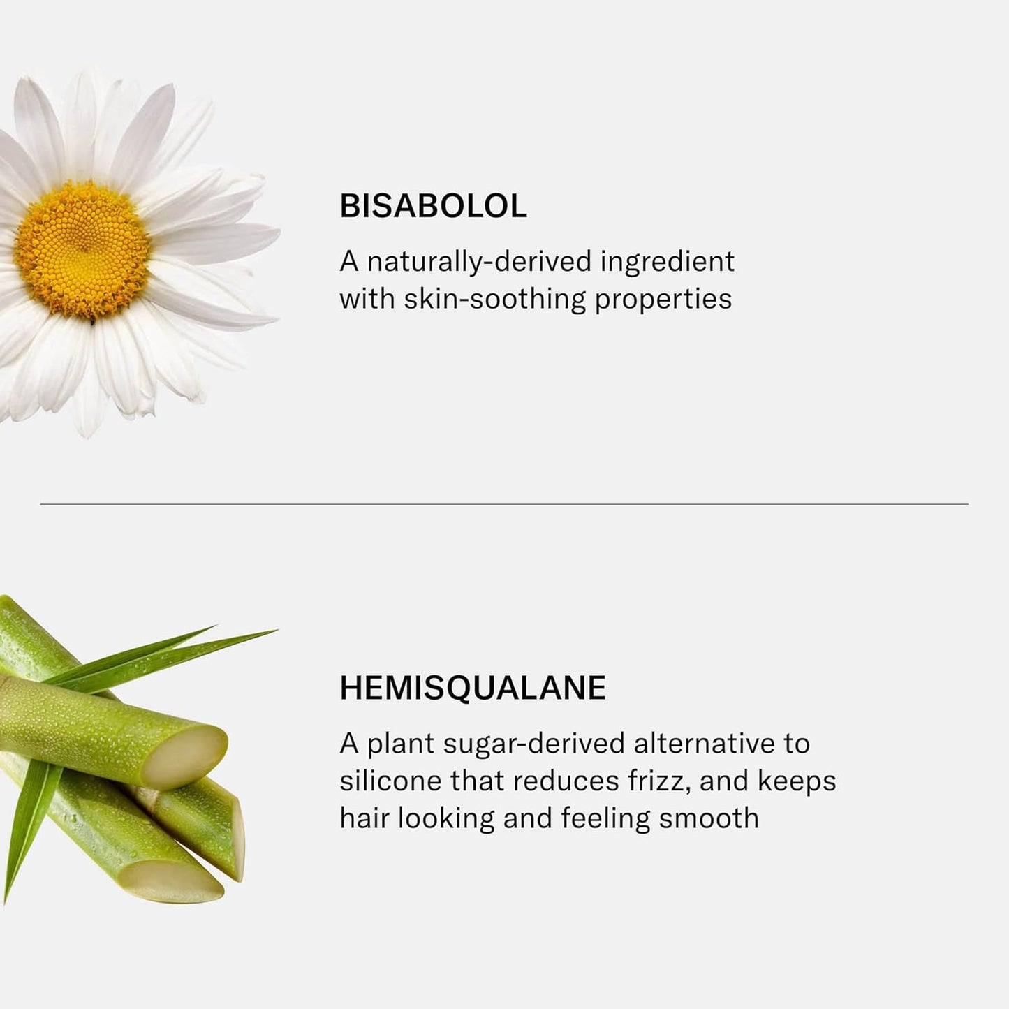 SEEN Conditioner - Scented - Non-Comedogenic & Sulfate-Free Hair Conditioner- Dermatologist-Developed -Safe for Sensitive & Acne Prone Skin