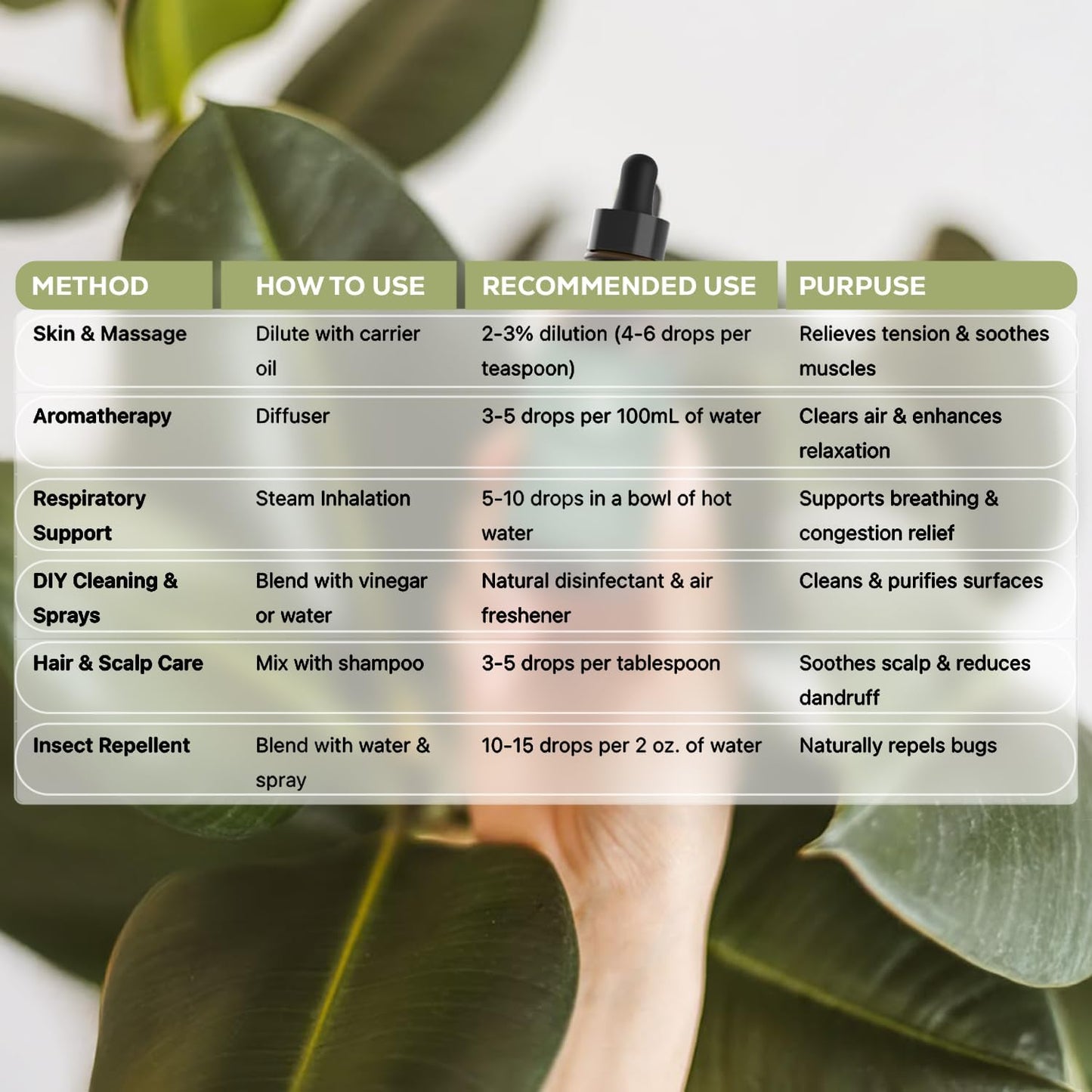 Aroma Country 100% Pure Eucalyptus Essential Oil – Organic & Undiluted Diffuser Oil, Humidifier, Steam Room & Shower Aromatherapy – Natural, Therapeutic Grade Oil for Skin, Sauna, & Home (4 Fl. oz)