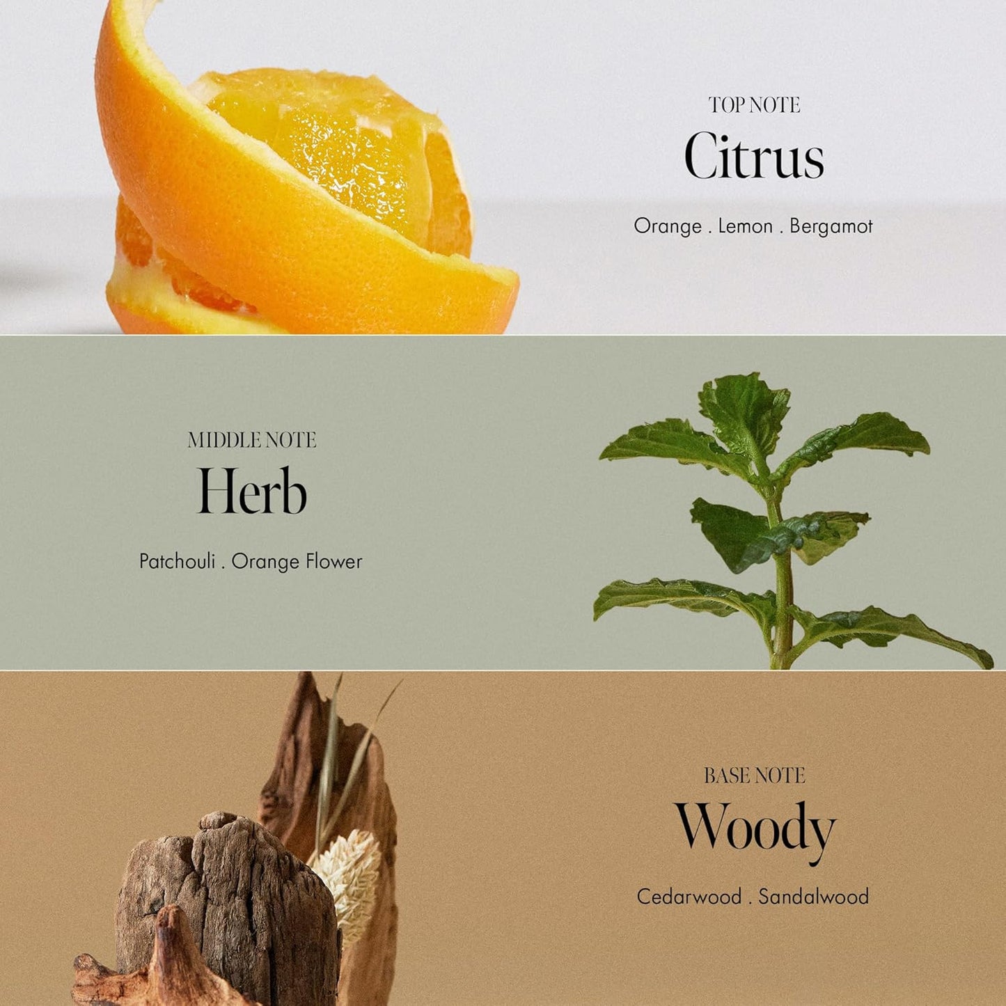 Patchouli Garden Damage Repair Hair Essence – Korean Hair Essence Oil for Damaged Hair w/Patchouli Leaf Water, Protein Complex & Amino Acids – Vegan Leave in Hair Serum (50ml / 1.69 fl. Oz)