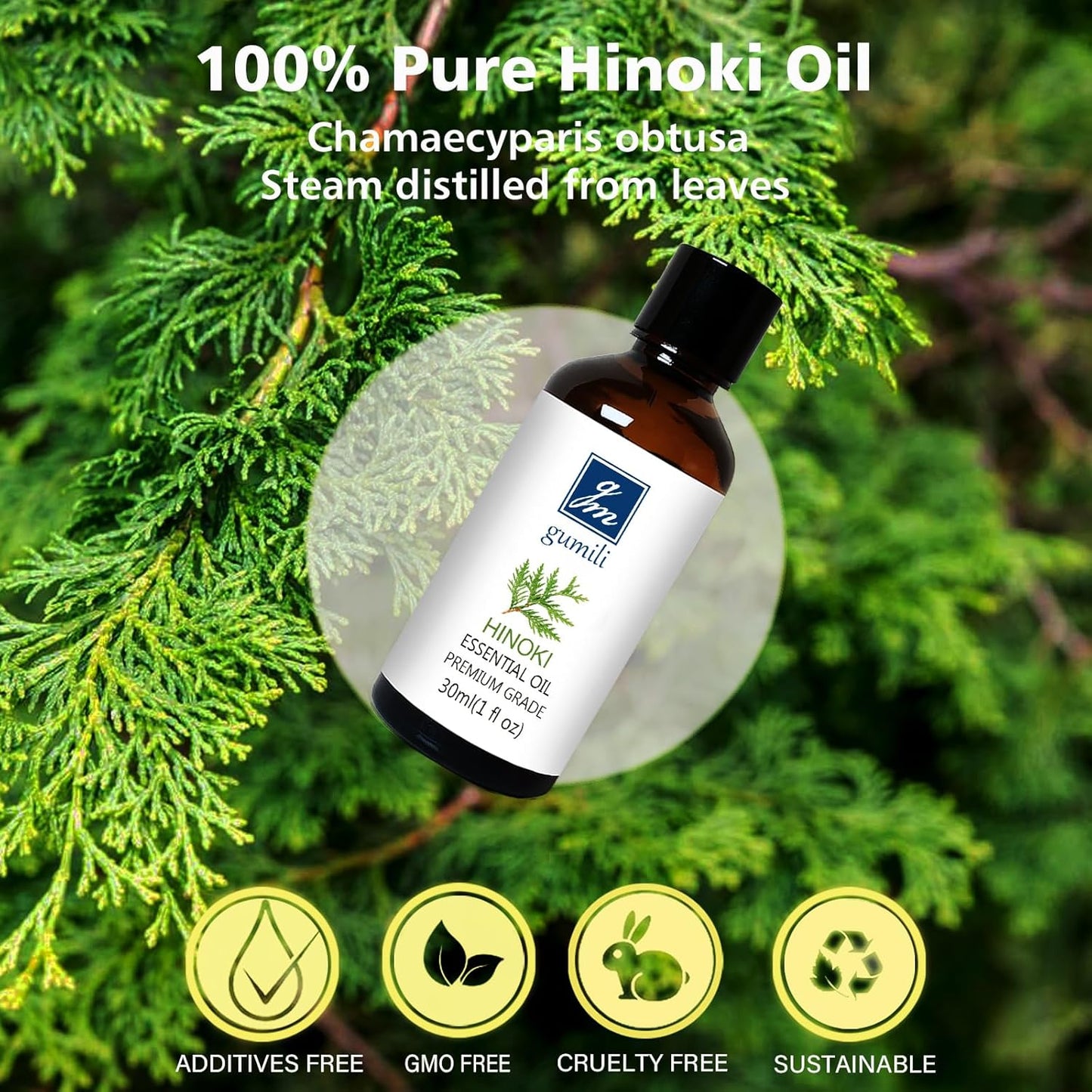 Hinoki Essential Oil 1 Oz – 100% Pure Natural Hinoki Oil for Diffuser, Skin, Hair, Massage & DIY, Refreshing Woodsy Aroma