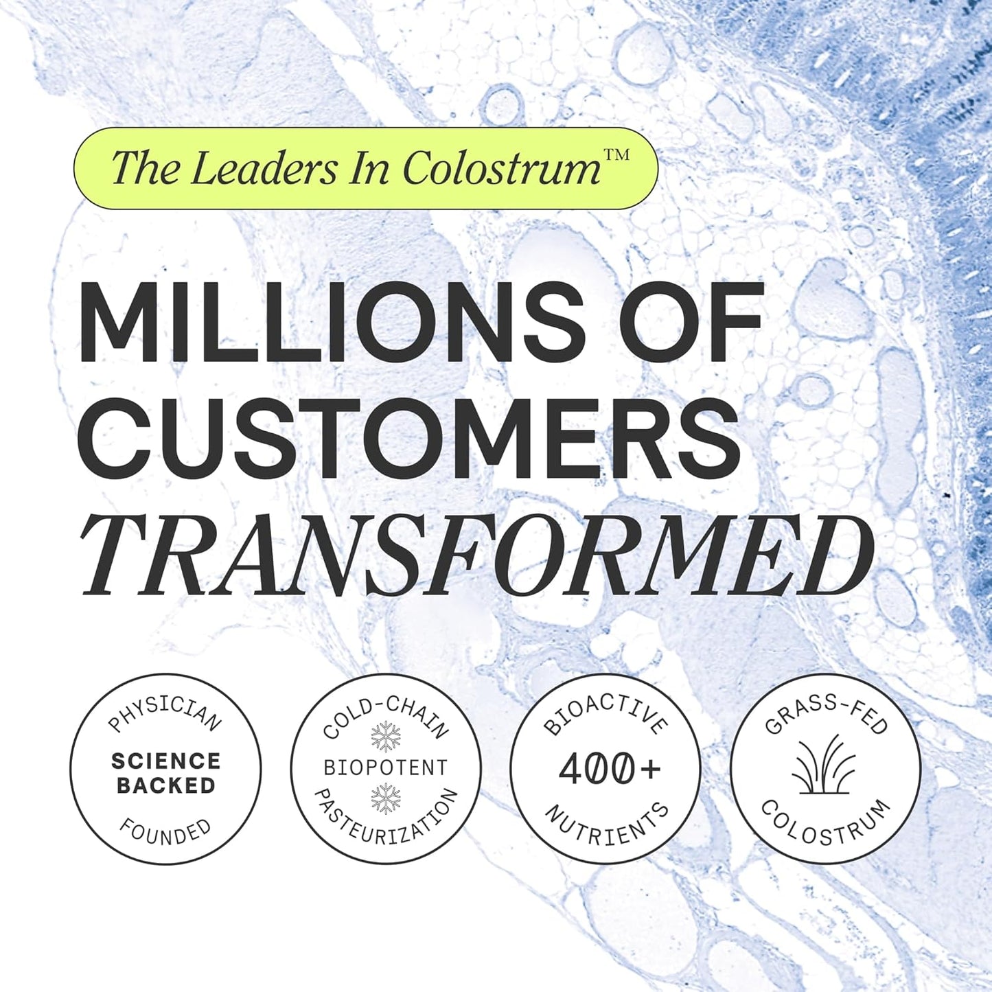 ARMRA Colostrum™ Powder | Blood Orange | Gut Health & Bloating | Skin & Hair | Immunity | Keto, Gluten & Fat-Free | 60 Servings