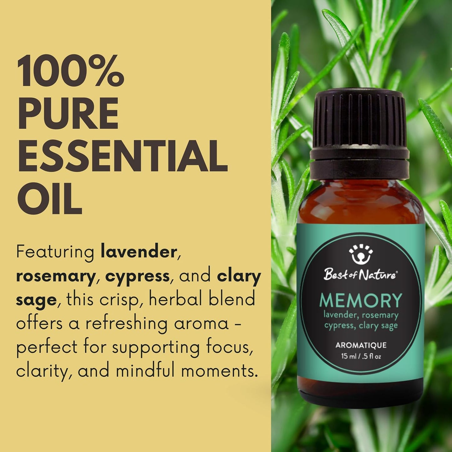 Best of Nature Memory Essential Oil Blend – 100% Pure for Diffuser, Aromatherapy & Focus – Herbal, Refreshing Scent with Lavender, Rosemary, Cypress & Clary Sage