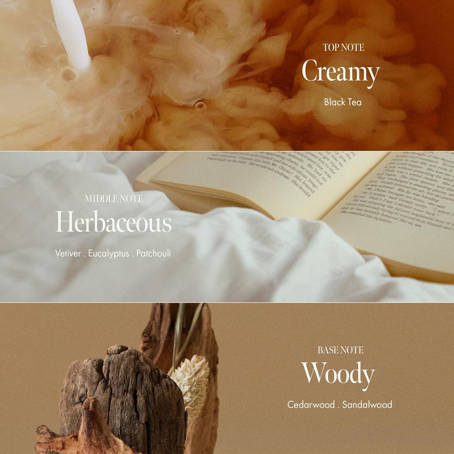 Black Tea Nourishing Hair Essence with Green Tea, Protein & Biotin for Nourishment and Shine, Creamy Woody Scent, Paraben-Free (50ml / 1.69 fl. Oz)