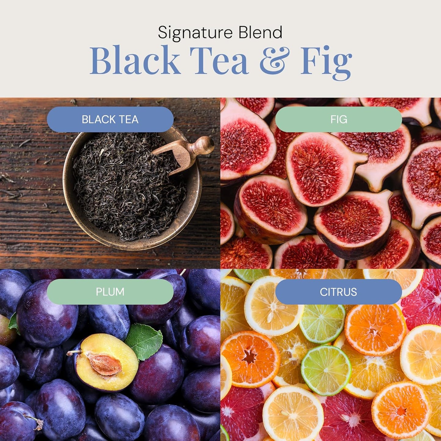 Black Tea & Fig Aroma Oil, Essential Oils Blend for Diffusers & Scent Machines, Herbal Fruity Blend and Amber, Aromatherapy, Cold Air Diffuser Compatible, 300 mL